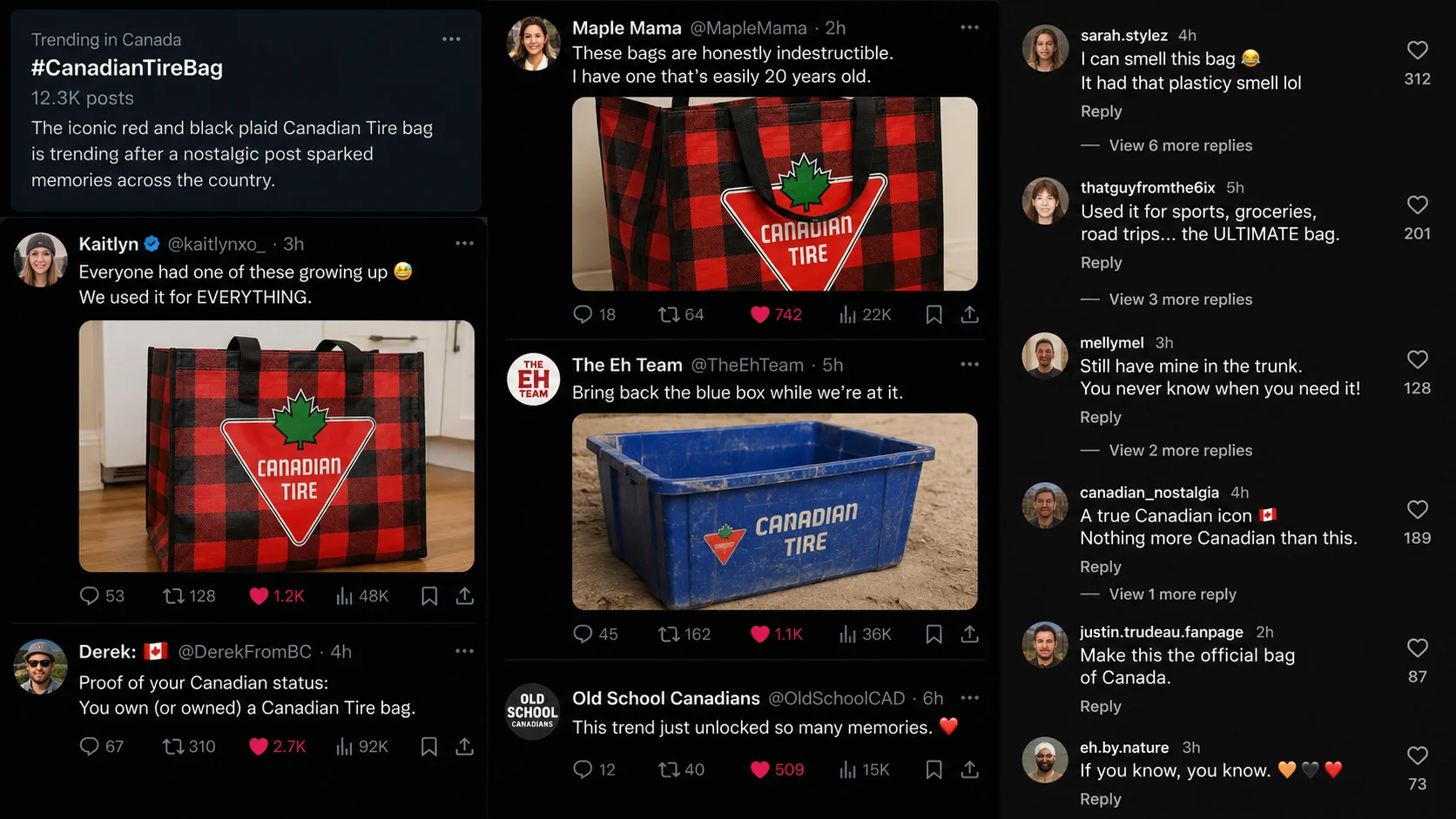 A $1.99 Grocery-Run Bag Just Became Canada's Answer to the Birkin